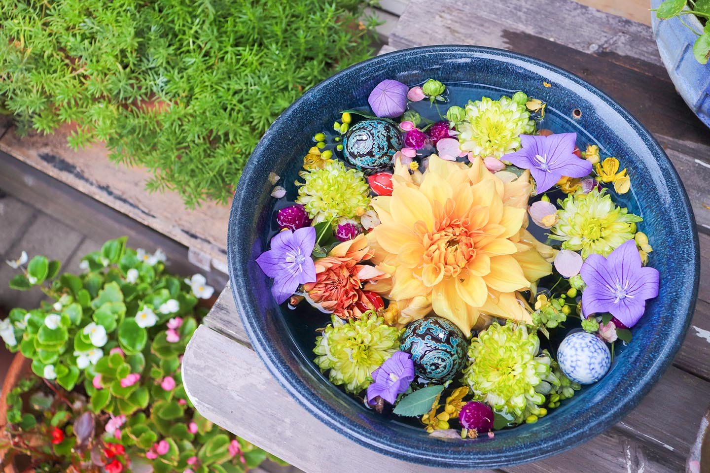 ⛩️ 히코시마 하치만구 이미지 6